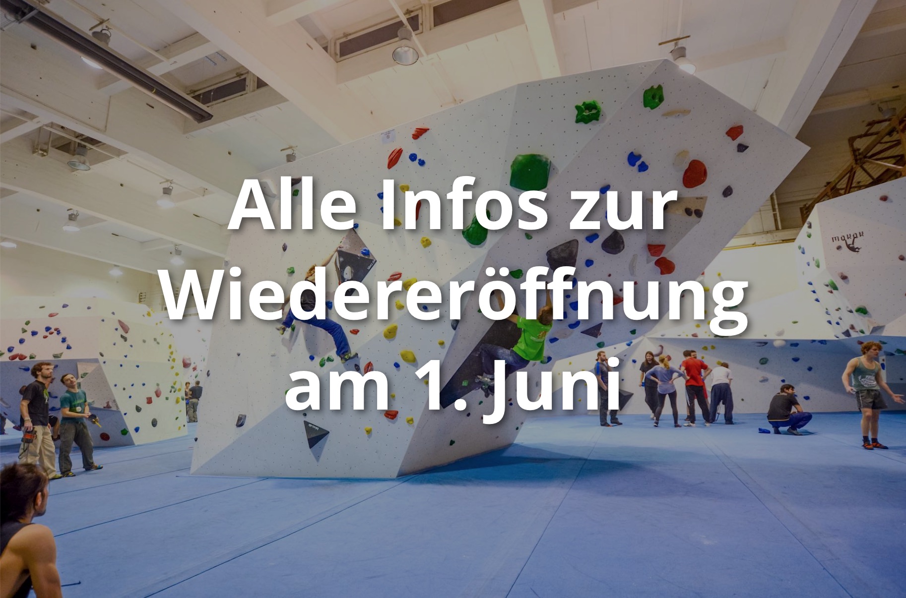 Plan B - Jena | Thüringens Größte Boulderhalle